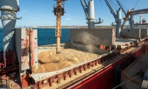 «Зерновой коридор» снова заработал после вынужденного перерыв