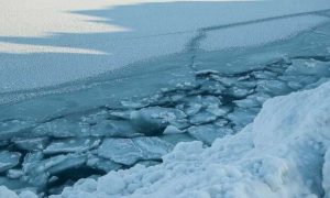 Дрейфовали на льдинах: на Днепропетровщине спасли 41 рыбака