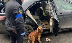 Фото, видео: украинка пыталась вывезти за границу 17 килограммов наркотиков