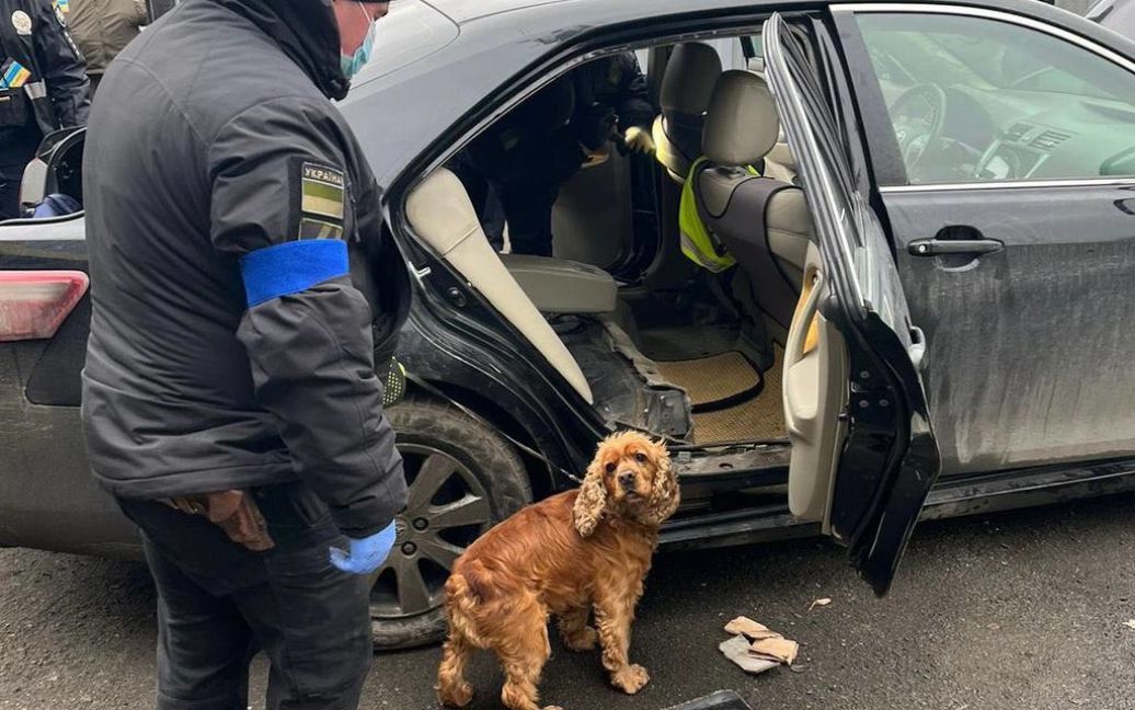 Фото, видео: украинка пыталась вывезти за границу 17 килограммов наркотиков