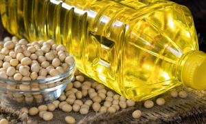 Аграрный экспорт Украины: более 50% продукции в 2022 году продано в ЕС – чем торговали