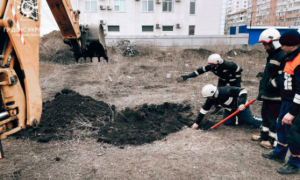 Фото: в Одессе провели необычную операцию по спасению щенка