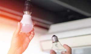 Обнародованы первые итоги программы обмена старых лампочек на энергосберегающие