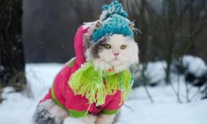 Киян попередили про складні погодні умови 27 грудня