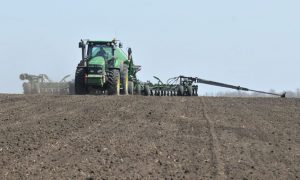 Мінагрополітики назвало площі, які засіють українські аграрії у 2023 році