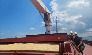 Программа «Зерно из Украины»: Эфиопия и Сомали получили уже 110 тысяч тонн зерна