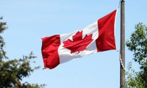 Канада предлагает трем странам партнерство по противодействию КНР и рф