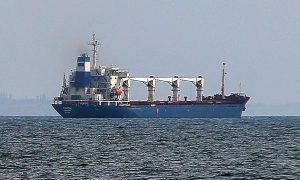 Минсельхоз США повысил оценку экспорта кукурузы из Украины