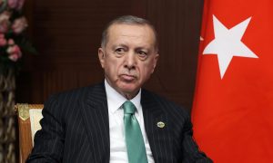 Эрдоган не будет отменять выборы из-за землетрясений