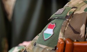 Венгрия объяснила, какие украинские военные проходят обучение в стране