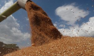 ООН почала переговори з росією щодо «зернової угоди»