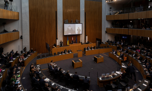 Австрийские парламентарии осудили бойкот выступления Зеленского «друзьями путина»