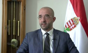 В Угорщині пояснили, чому затримують рух Швеції до НАТО