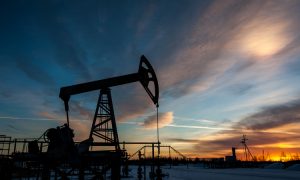 Талибы провели первые торги нефти, добытой в Афганистане