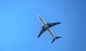 Тропический фрукт стал причиной курьёза в турецком самолёте