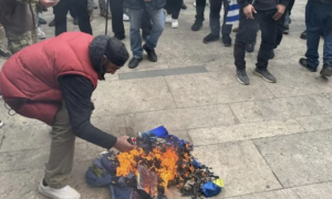 В Грузии оштрафовали ультраправых, которые сорвали и сожгли флаг ЕС