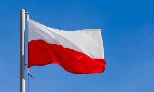 Польша хочет увеличить фонд, из которого ЕС финансирует оружие для Украины, несколько стран против - СМИ