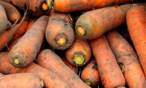 Зростання цін на харчові продукти: морква стрімко дорожчає