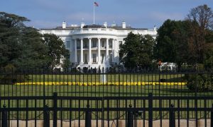 Білий дім заявив, що гіпотетична поразка України відгукнеться навіть за океаном 
