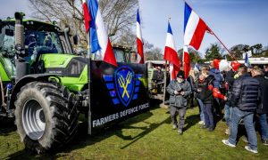 У Нідерландах протестна партія фермерів на виборах до Сенату здобула більше за політсилу прем’єра