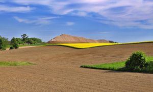 Фонд держмайна: до кінця року земельний банк зросте до 300 тисяч гектарів