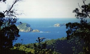 Возле Новой Зеландии произошло мощное землетрясение