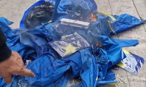 Відео: у Тбілісі проросійський «антимайдан» спалює прапори ЄС