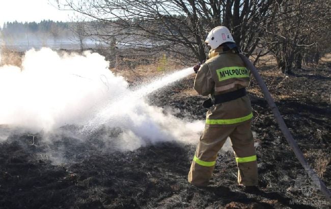 У росії спалахнув деревообробний цех