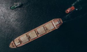 Близько двох мільйонів жителів Ємену будуть нагодовані українським зерном