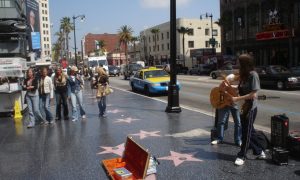 На голливудской Аллее славы появились звезды, посвященные украинским животным на грани вымирания