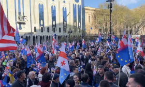 Найбільша опозиційна партія Грузії запропонувала спільні вимоги до партії влади