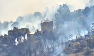 Во Франции борются с первым крупным пожаром в этом году