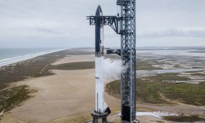 SpaceX Маска заборонили запускати Starship: у чому причина 