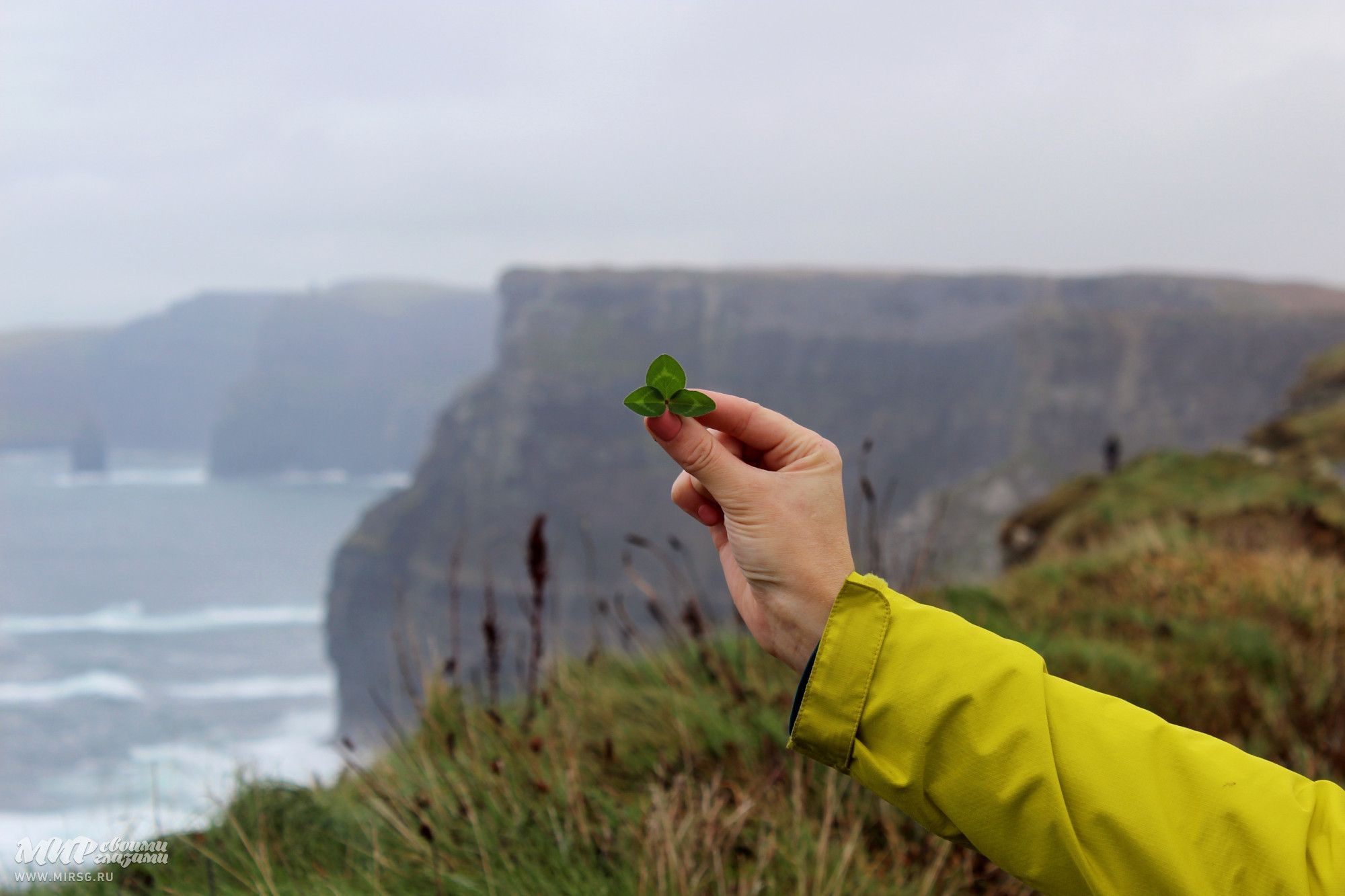 Ще одна європейська країна може відмовитись від нейтрального статусу