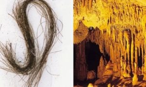 Фото: ученые нашли самые ранние доказательства употребления наркотиков в Европе