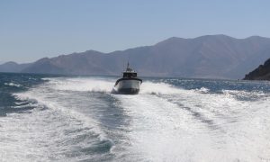 В Турции затонуло судно, направлявшееся в Украину