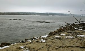 В Запорожье - сильная вонь из-за обмеления Днепра