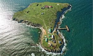 Видео: пограничники установили на Змеином новый знак