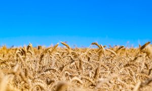 Активы российского олигарха Шелкова не смогли продать на аукционе