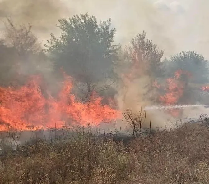 На Київщині під час спалювання трави загинули двоє людей