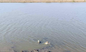 В Молдове в озере нашли обломки ракеты