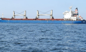 Еще два судна успешно прошли по украинскому «зерновому коридору»