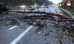 Через негоду на Київщині пошкоджено 7 351 трансформаторних підстанцій