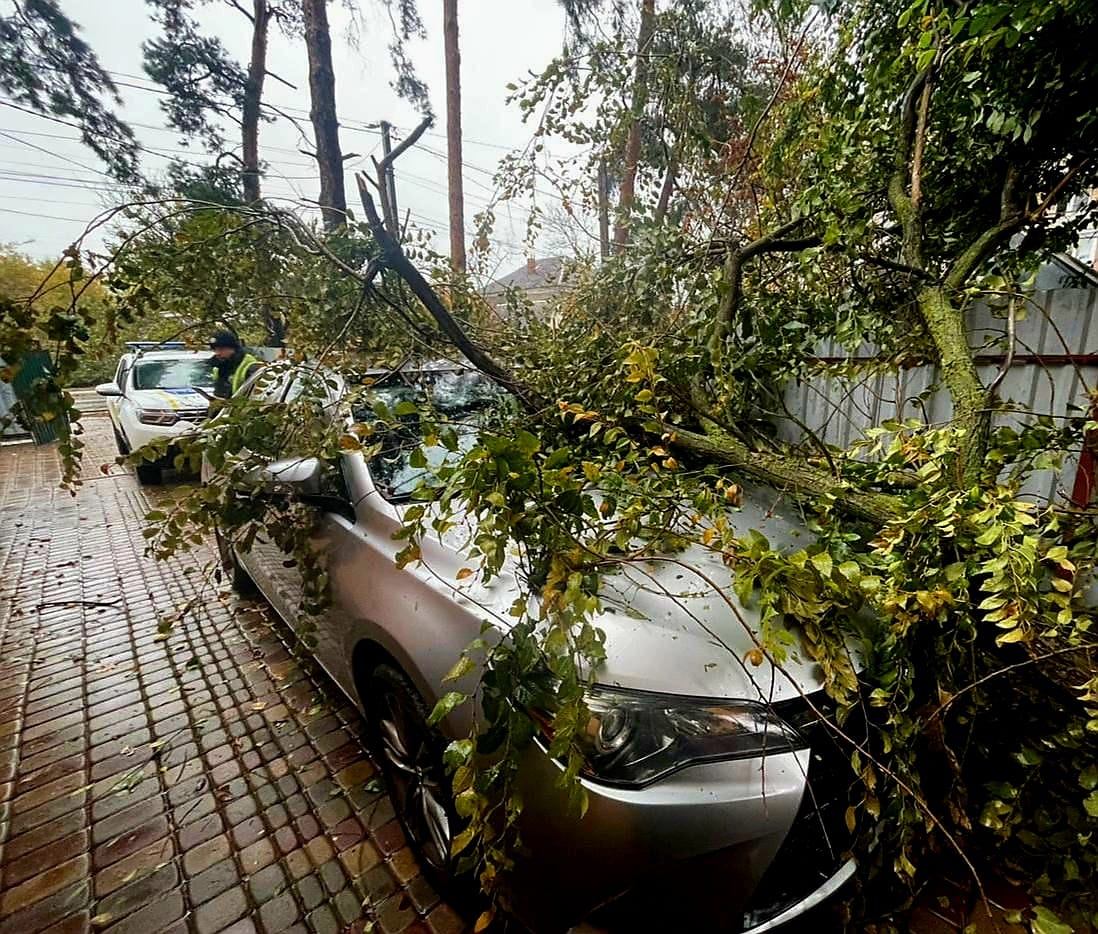 Дерева падають на будинки та машини: у Києві вітер повалив понад півтисячі дерев