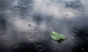 Синоптики попередили про негоду у Києві: чого чекати завтра