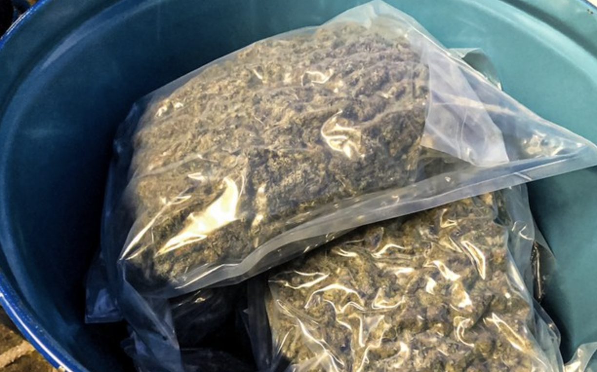 У Польщу спробували ввезти канабіс на 1 млн євро під виглядом томатної пасти з Іспанії