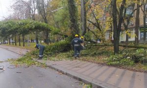 Під час суботнього буревію в Києві зламало понад тисячу дерев