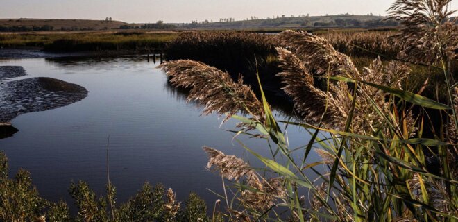 Найбільше у світі сміттєзвалище Нью-Йорка перетворили на парк