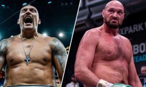 Бій між Усиком та Ф'юрі відкладено: у чому причина 