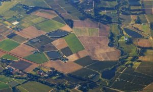 Нацбанк продає земельні ділянки в Київській області - 493 гектара під забудову